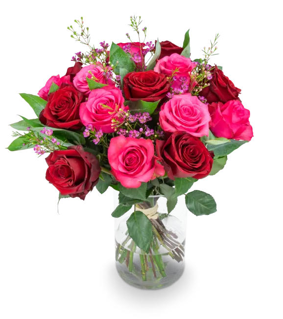 RED CLAIR_STREDNI_IMG_1425_eRGB.png